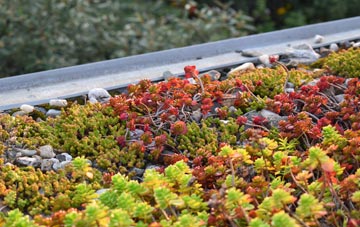 the cost of Ballinderry Lower green roof installation