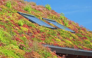 Ballinderry Lower living roof systems